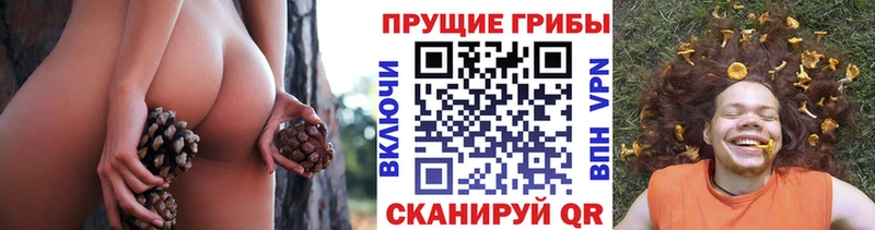 Псилоцибиновые грибы мухоморы  Новый Уренгой 