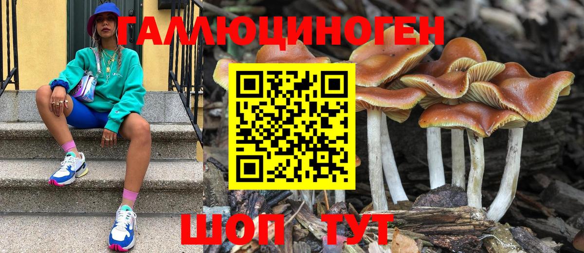 Псилоцибиновые грибы мицелий Новый Уренгой